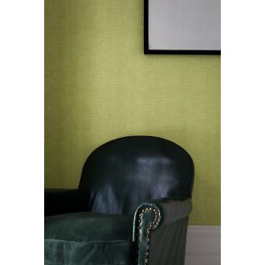 Papier peint crocodile vert anis 1005x52cm