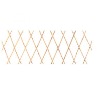 Treillis en bambou extensible pour plantes grimpantes 45x180cm