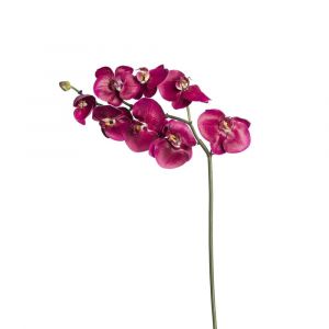 Tige d'orchidée phalaenopsis artificielle fuchsia H87