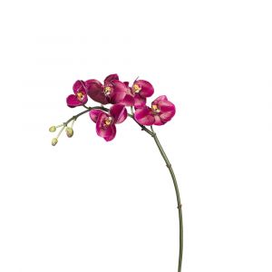 Tige d'orchidée phalaenopsis artificielle fuchsia H42