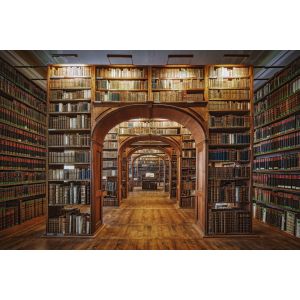 Tableau librairie des sciences toile imprim&eacute;e 120x80 cm