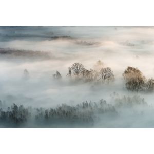 Tableau brouillard hivernal toile imprim&eacute;e 120x80 cm