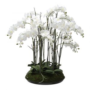 Composition d'orchidée artificielle avec mousse blanche et verte H113