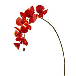 Tige d'orchidée phalaenopsis artificielle rouge H82