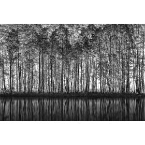 Tableau nature pointillisme toile imprim&eacute;e 120x80 cm