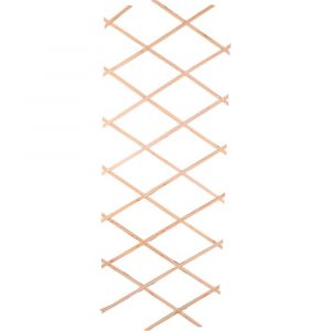 Treillis en bois extensible pour plantes grimpantes - 180x90x0.7cm