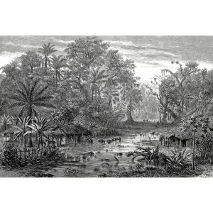 Tableau gravure for&ecirc;t de mangroves toile imprim&eacute;e 120x80 cm