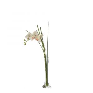 Orchidée en illusion d'eau artificielle crème H60