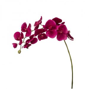 Tige d'orchidée phalaenopsis artificielle fuchsia H100