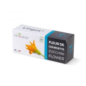 Lingot Fleur de Courgette BIO - Recharge pr&ecirc;te &agrave; l'emploi