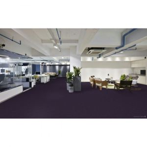 Moquette tuftée polyamide Thalasso 4 m Prune