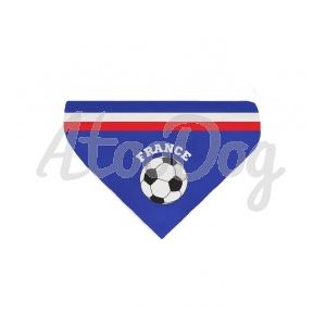 bandana foot chien euro supporter