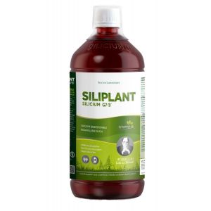 Silicium G5 - Siliplant Silicium G7, 1l - Anti-&acirc;ge