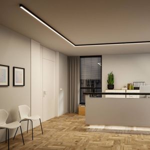 Réglette lumineuse Paulmann Linion, noire 1 m Transformateur ZigBee Master