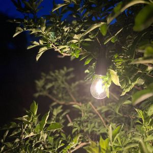 PR Home Luminaire d'ext&eacute;rieur LED &agrave; batterie 2406003, noir, intensit&eacute;