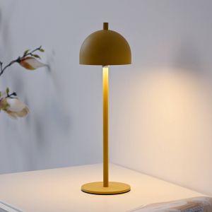 SCH&Ouml;NER WOHNEN lampe &agrave; poser LED rechargeable Bellies, Bl&uuml;tenzauber IP54