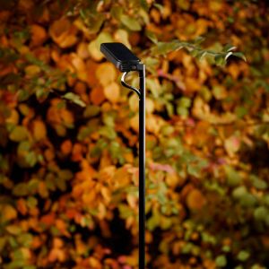 Borne lumineuse LED Flia de Luceplan, à 2 lampes, noir, plastique