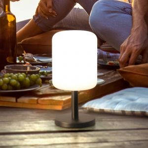 FH Lighting Lampe de table LED rechargeable Volterra Pro, IP54, RGBW, télécommande