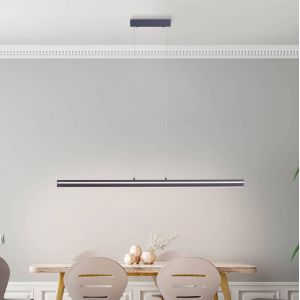Q-Smart-Home Paul Neuhaus Q-VITO suspension lin&eacute;aire anthracite