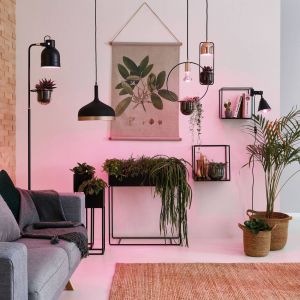 Paulmann Ampoule pour plantes LED E27 R80 6,5W