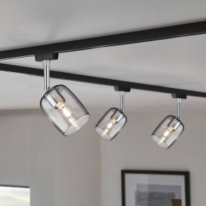 Paulmann URail Spot Blossom noir, verre fumé