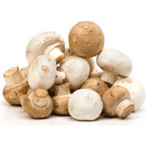 Bio champignons blanc 200g