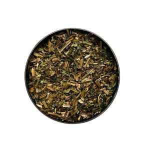 Tisane Chélidoine plante Chelidonium majus