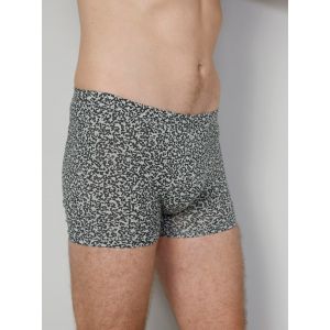 Boxers par lot de 4 en coton issu d'une agriculture biologique G Gregory 2x gris, 2x pétrole