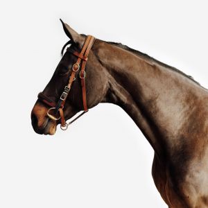 BRIDON LICOL DE RANDONNEE ESCAPE