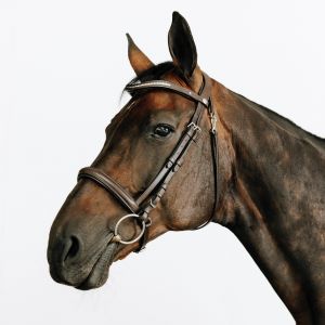 Filet &eacute;quitation cuir muserolle fran&ccedil;aise strass cheval et poney - 580 marron - FOUGANZA