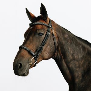 Filet &eacute;quitation cuir muserolle fran&ccedil;aise surpiqu&eacute; cheval et poney - 580 noir - FOUGANZA