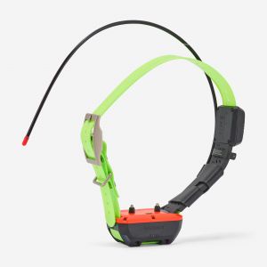 Collier rep&eacute;rage et dressage pour chien garmin tt25f