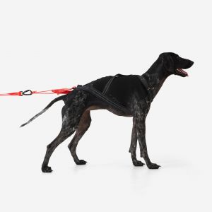 HARNAIS DE TRACTION POUR CHIEN X-BACK