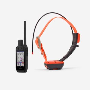 Pack collier + t&eacute;l&eacute;commande de rep&eacute;rage/dressage chien garmin alpha 300 t20