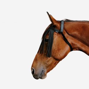 Frontal anti-mouche de pr&eacute; &eacute;quitation Cheval et Poney - noir