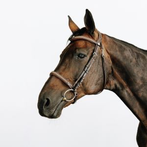 Filet &eacute;quitation cuir muserolle fran&ccedil;aise surpiqu&eacute; cheval et poney - 580 marron - FOUGANZA