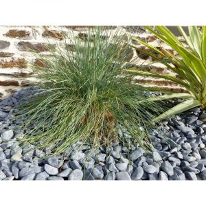 Galet Noir Mat 12-24 sac 20 Kg