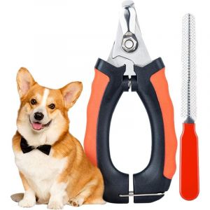 Coupe Griffes Chat,Coupe Griffe Chaton Coupe Griffes Chien Coupe Ongle Chat Inoxydable,Coupe Griffe pour Chiot Chaton Petits Animaux