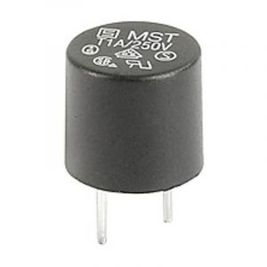 Schurter - 0034.6618 0034.6618 Mini-fusible 2.00 a 250 v/ac temporisé -t- 1 pc(s) Y789423