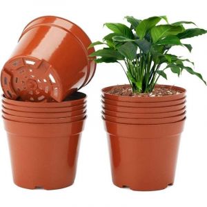 ALOVEZ 50 Pi&egrave;ces 10CM Pot pour Semis,Pot de Fleurs Plastique Plante Exterieur,Pot Rempotage,Godets pour Semis Tomates,Brun