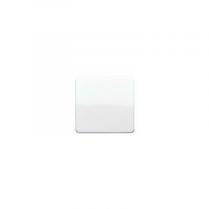 CD590BFWW Bascule interrupteur - Jung