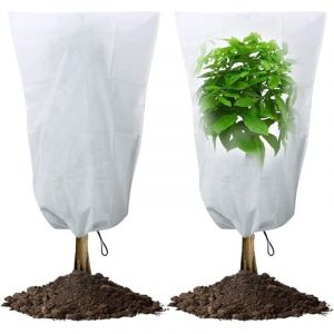 Voile Hivernage Plante, Lot de 2 Housse d'hivernage Plante, 80 x 120cm Housses de Protection pour Plantes contre le froid et le gel, 60g/m&sup2; b&acirc;che