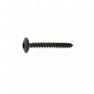 Rotofor - 250 Vis Penture Torx acier zingués Noir 6,0 mm - diamètre 6 mm - Longueur 25 mm