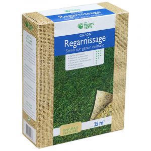 Gazon de regarnissage enrichi 500g