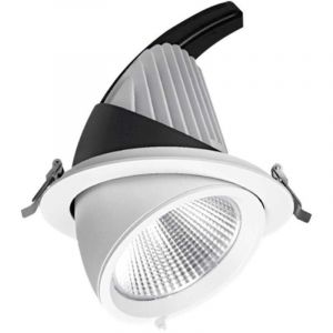 Spot LED escargot COB 40W encastrable orientable Transfo EAGLERISE Temp&eacute;rature de Couleur: Blanc neutre 4000K