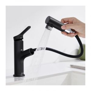 Detbom - Robinet Salle de Bain avec Douchette Extractible 2 Jets Mitigeur de Lavabo Noir Mitigeur pour Salle de Bain