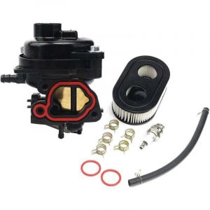 Carburateur pour Briggs & Stratton 550EX 625EX 675EX 675IS 725EXI 09P702 9P702 OHV Moteur 163 cc Remplace 799584 594058