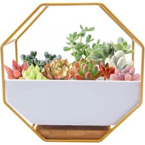 BEBUSINGOTO Jardini&egrave;re murale moderne en fil m&eacute;tallique, vase mural en verre transparent