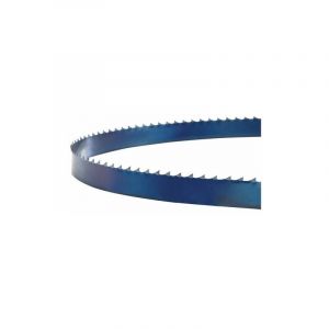 Holzkraft - Lame de scie, hbs 231-1, 6x0.5x1575, 6ZZ Énergie du bois 5160011