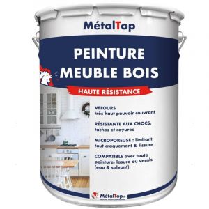 Peinture Meuble Bois - Pot 1 l - 7009 - Gris vert Metaltop